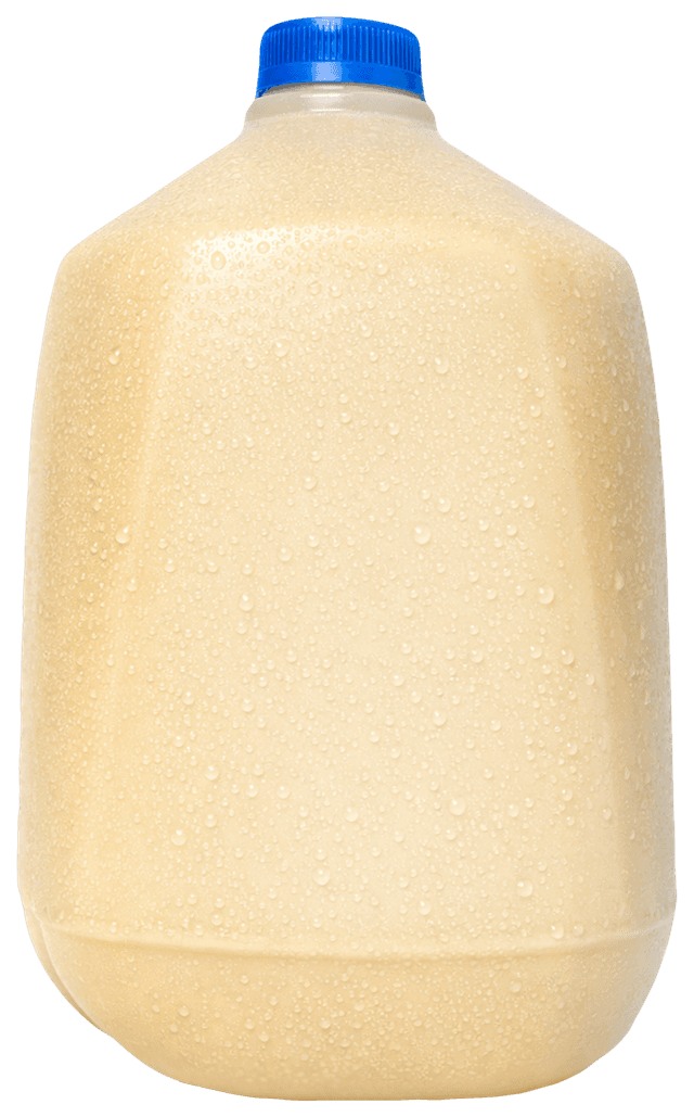 Smoothie de Piña Colada